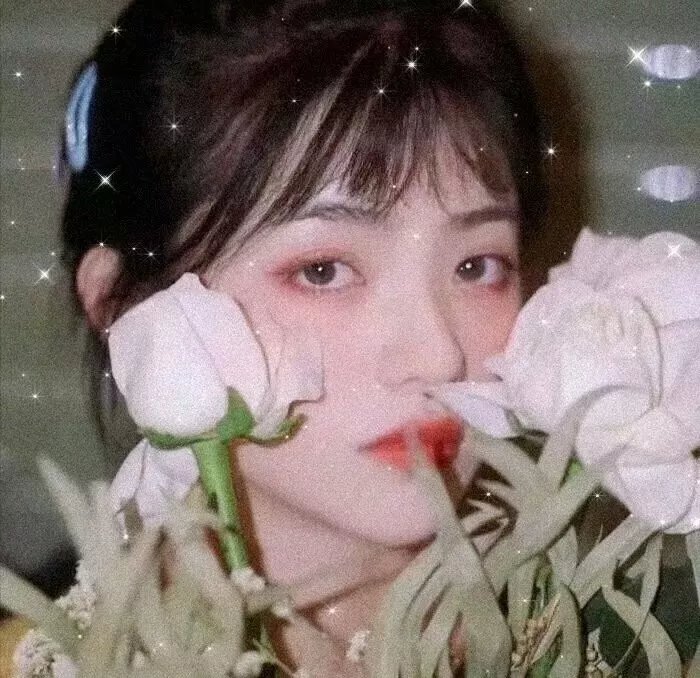 不朽真情